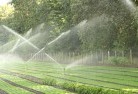 Cadelllandscaping-water-management-and-drainage-17.jpg; ?>